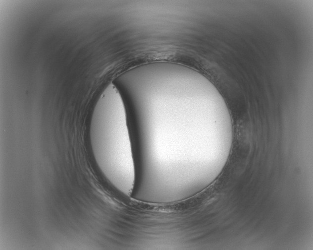 X0000062140741200512091016