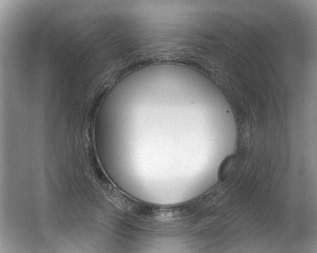 X0000062140746200512091016