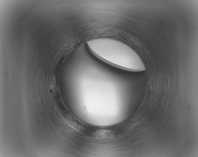 X0000062140748200512091016