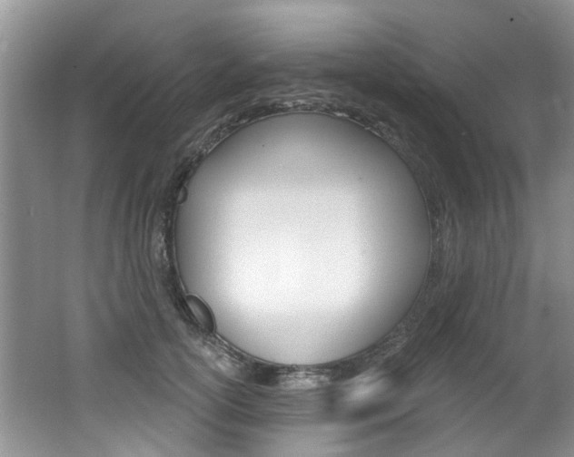X0000062140754200512091017