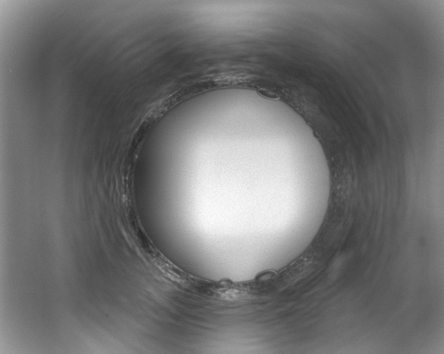 X0000062140755200512091017