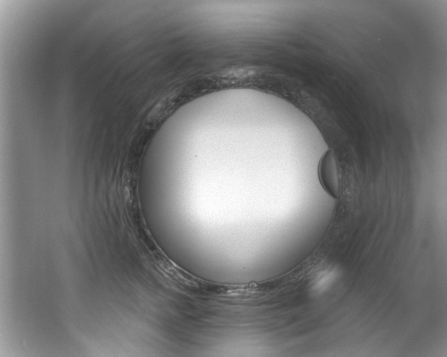 X0000062140758200512091017
