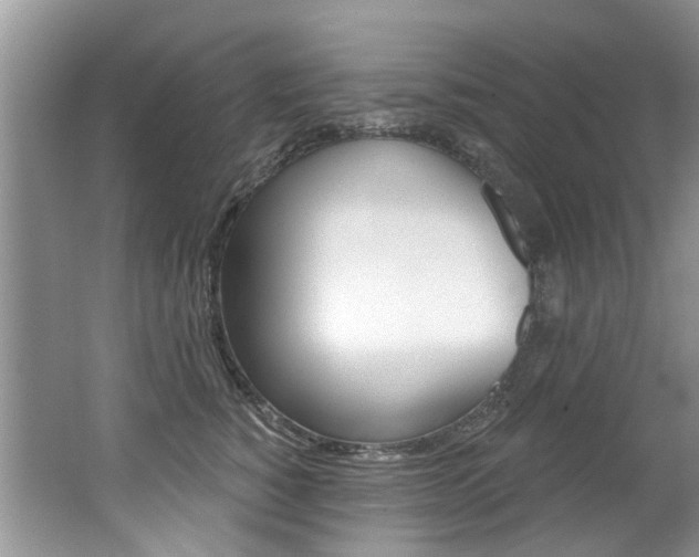 X0000062140760200512091017