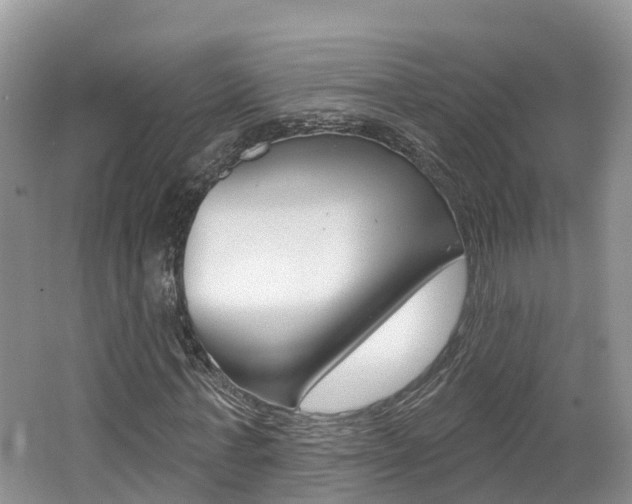 X0000062140771200512091016