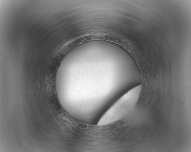 X0000062140773200512091016