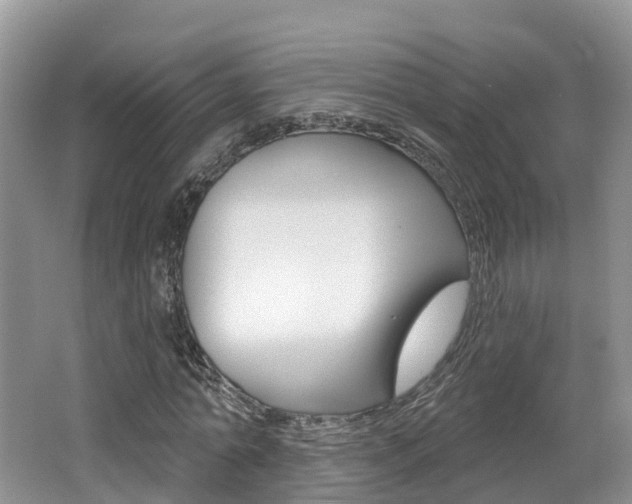X0000062140774200512091016