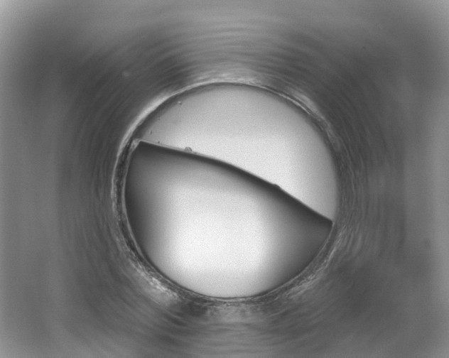 X0000062140780200512091016