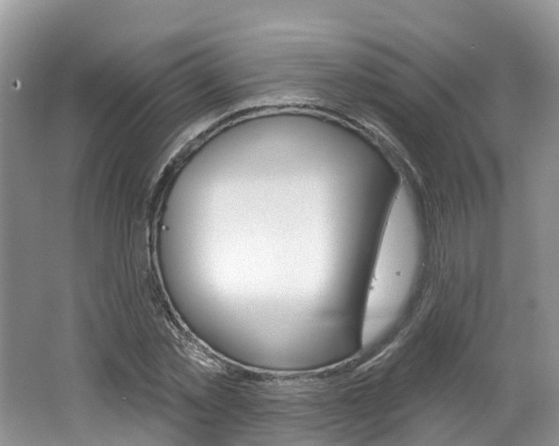 X0000062140781200512091016