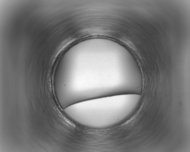 X0000062140782200512091016