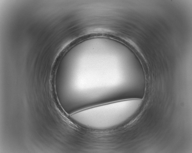 X0000062140783200512091016