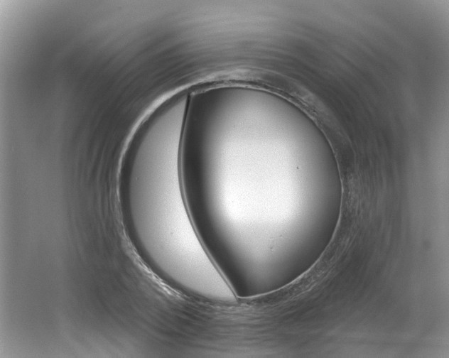 X0000062140784200512091016