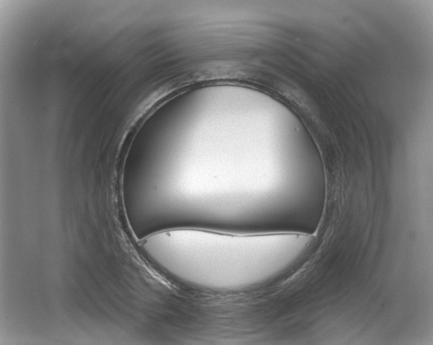 X0000062140786200512091016