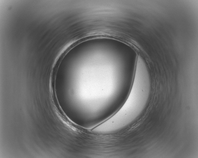 X0000062140788200512091016