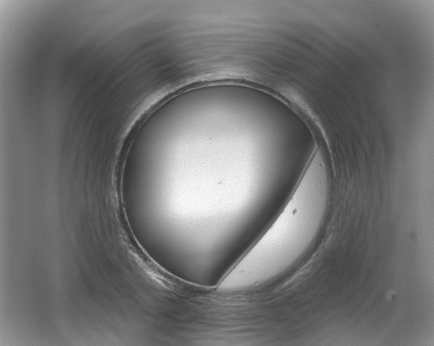 X0000062140789200512091016