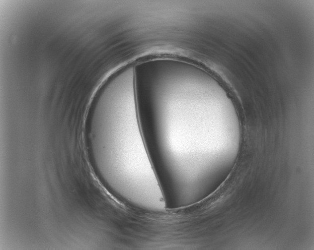 X0000062140791200512091016