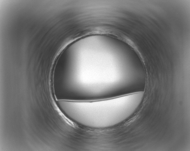 X0000062140803200512091015
