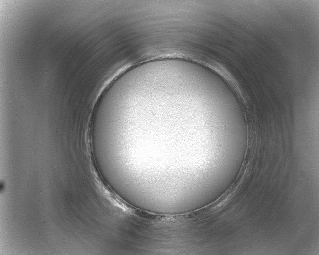 X0000062140806200512091015