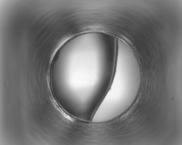 X0000062140812200512091015