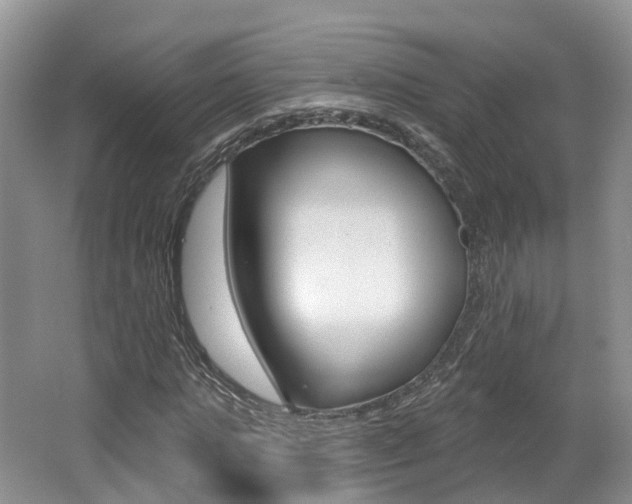 X0000062140821200512091014