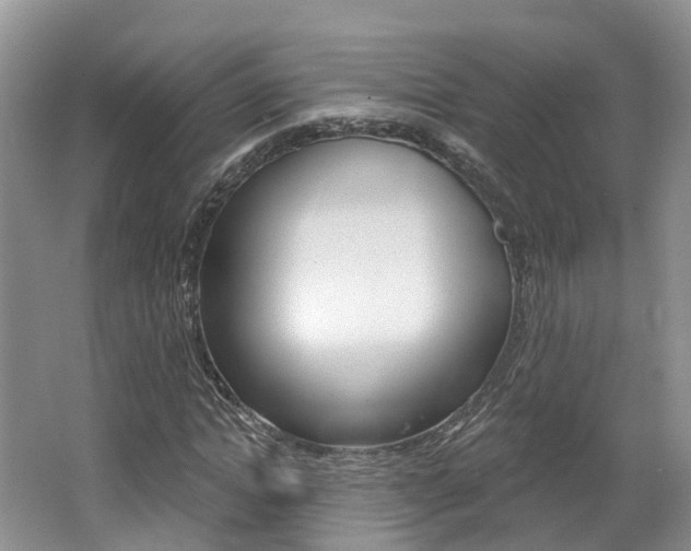 X0000062140822200512091014