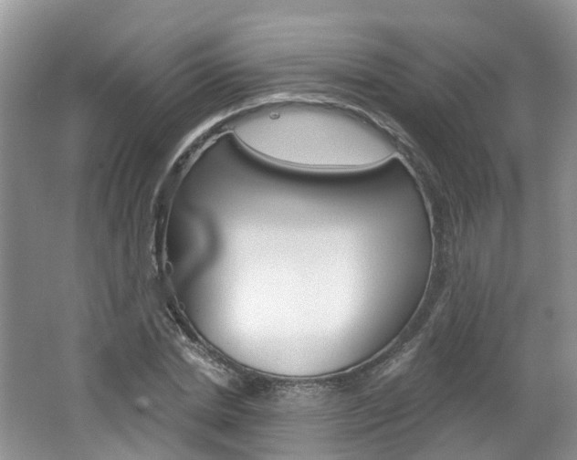 X0000062140830200512091015