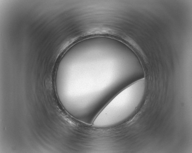 X0000062140834200512091015