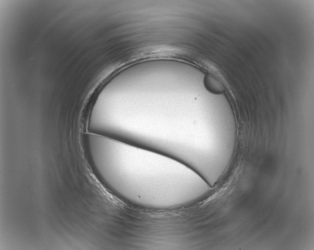 X0000062140835200512091015