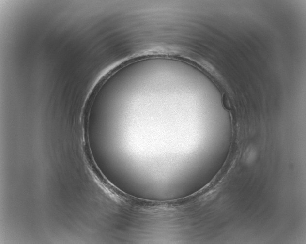 X0000062140838200512091015