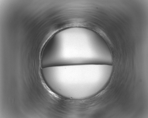 X0000062140844200512091015