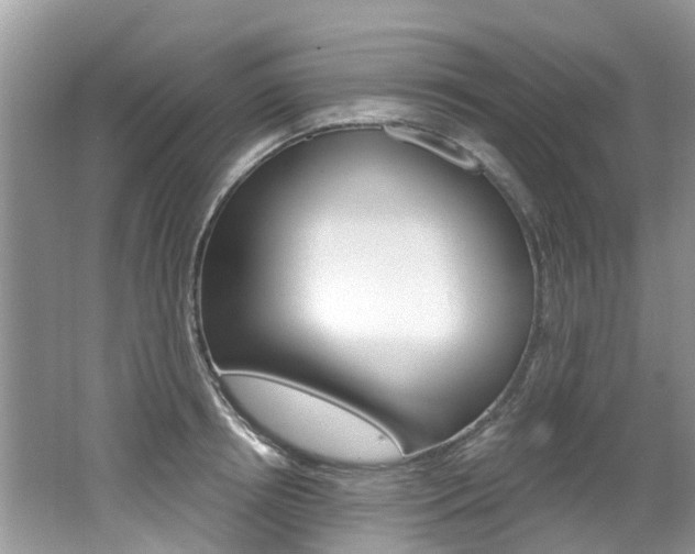 X0000062140850200512091015
