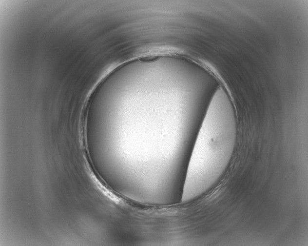X0000062140851200512091015