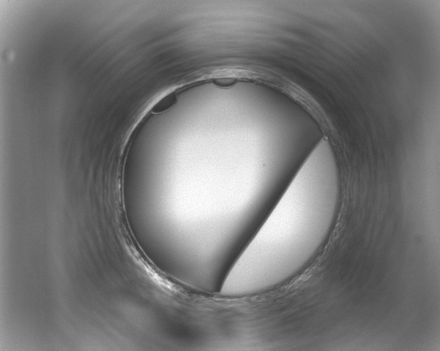 X0000062140852200512091015