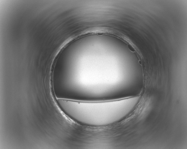 X0000062140853200512091015