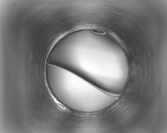 X0000062140861200512091015