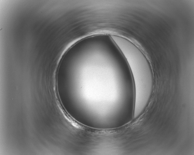 X0000062140862200512091015