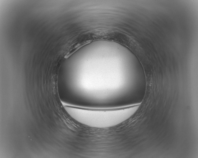 X0000062140868200512091014
