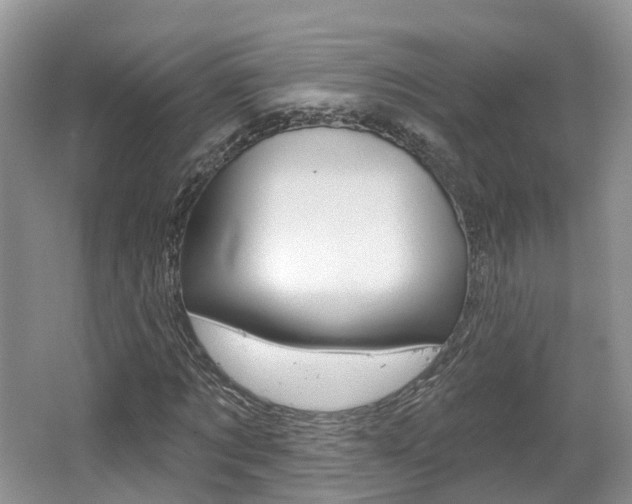 X0000062140869200512091014