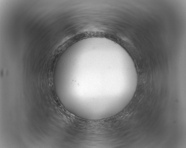 X0000062140870200512091014