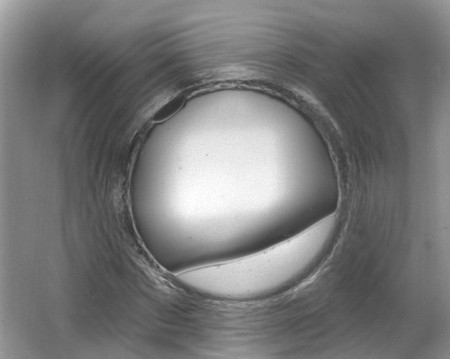 X0000062140873200512091014
