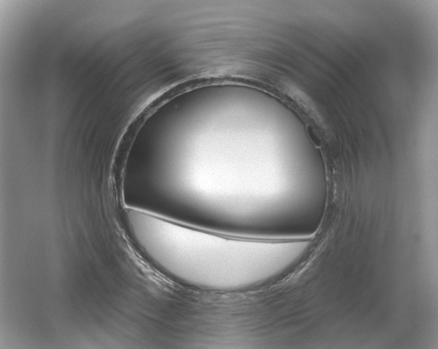 X0000062140876200512091014