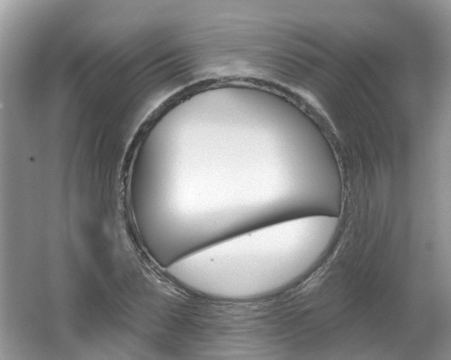 X0000062140879200512091014