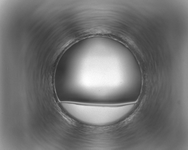 X0000062140881200512091014