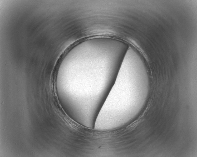 X0000062140883200512091014
