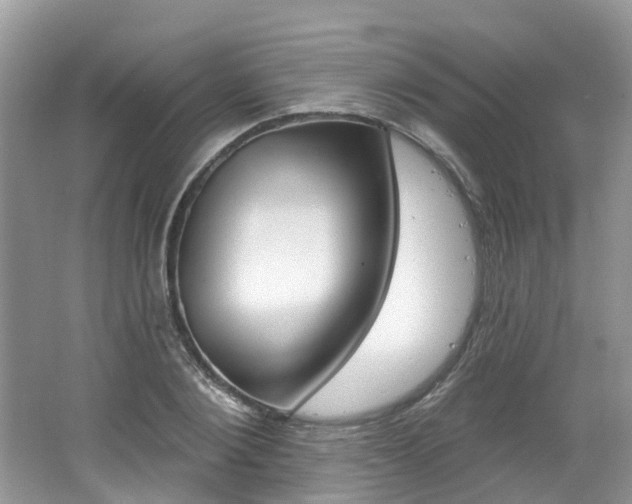 X0000062140884200512091014
