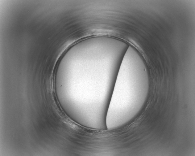 X0000062140891200512091014