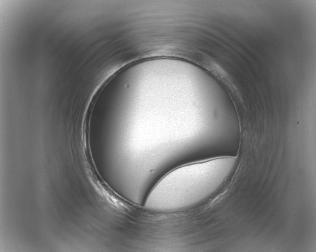 X0000062140892200512091014