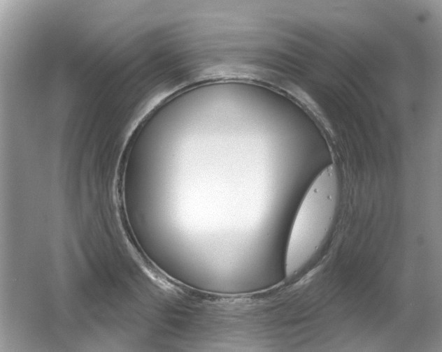 X0000062140893200512091014