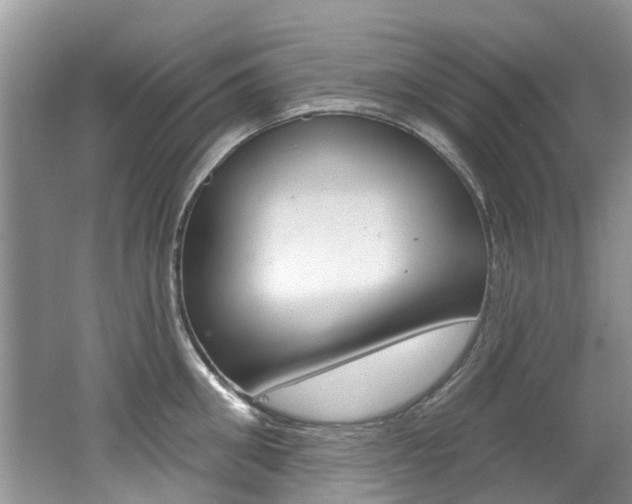 X0000062140906200512091014