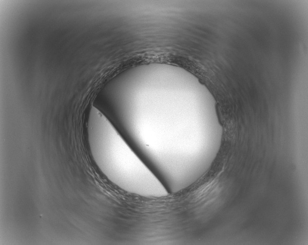 X0000062140913200512091013