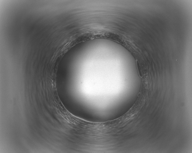 X0000062140916200512091013